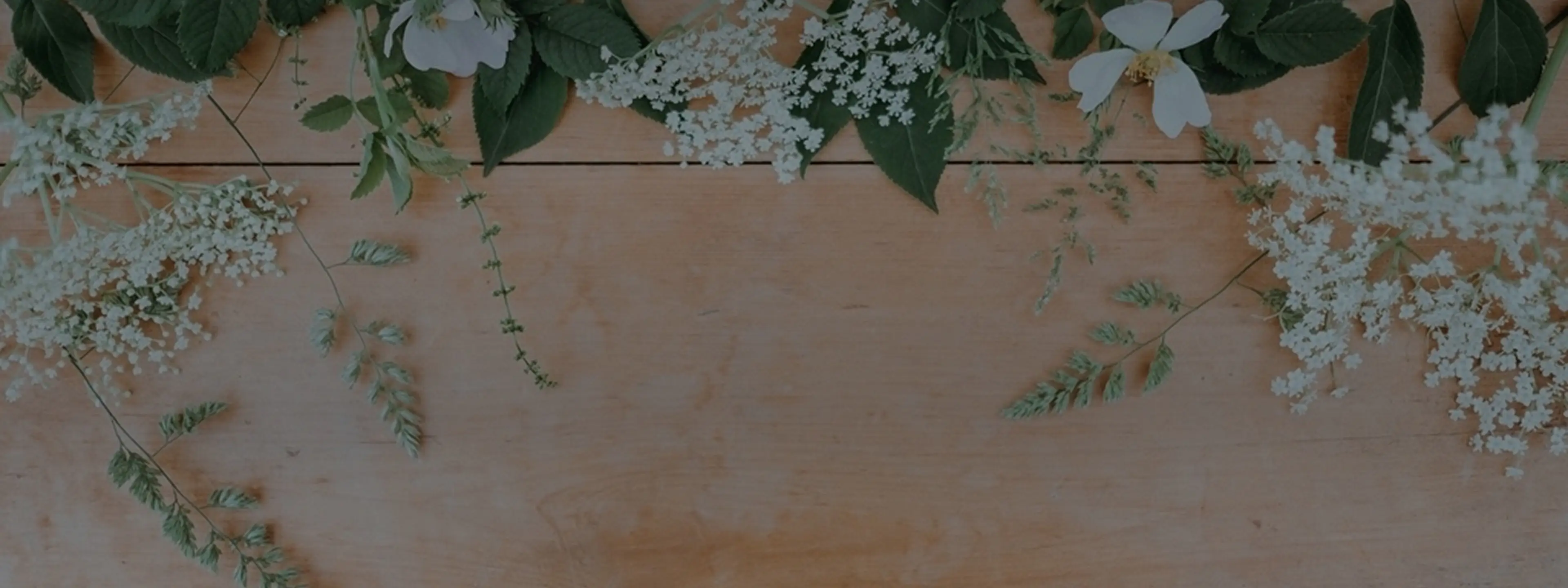 Botanical materials arranged on a table